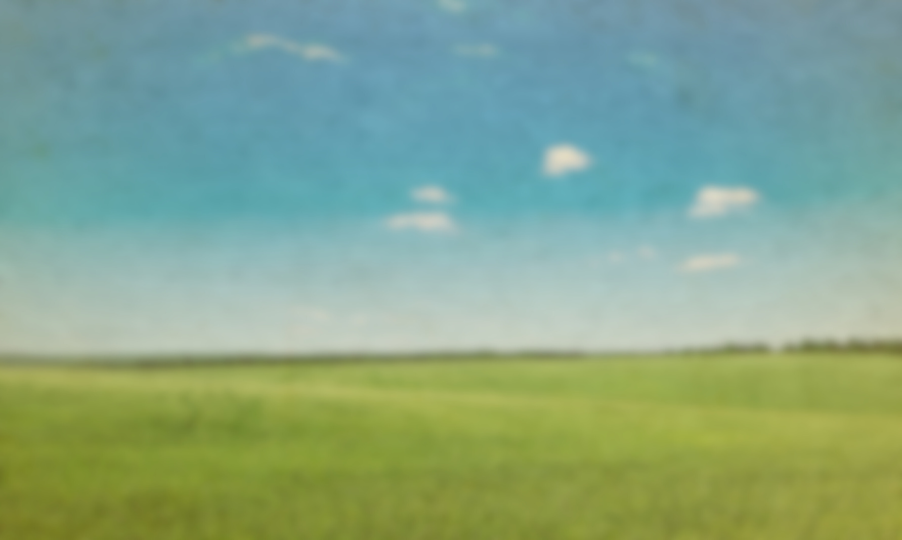 field